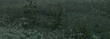 Ретроспектива и необъятные просторы Родины с одеколонами Nouvelle Etoile Цветочный, смородина и сирень