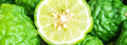 Шесть экстравагантных ароматов линейки Lucky Charms 2022 от Carolina Herrera