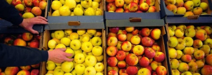 Страсти по яблоку за смешную цену. Одеколон Parade Of Stars Магнолия