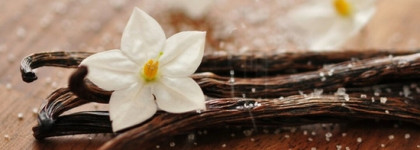 Белые цветы и Красное Знамя в прочтении легендарного аромата. Новая Заря Красная Москва EDC