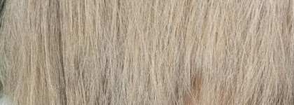 Итоги осени 2023. Часть 1. Волосы: уход, проблемы, размышления