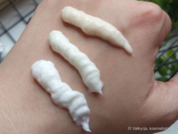 Сверху вниз: печенье, крапива, Лемонграсс