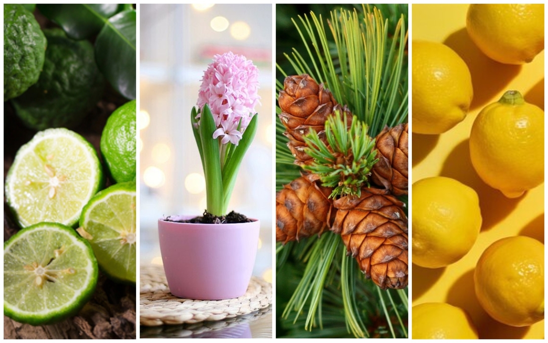 Ассоциация с пирамидой аромата