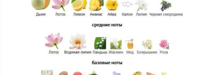 Родом из 90-х, но всё ещё актуален: Cool Water Davidoff