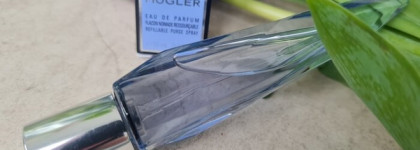 Отстранённый, инопланетный, неповторимый: Angel Mugler