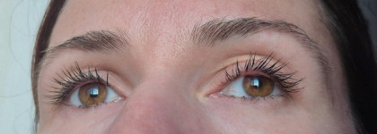 Тушь для ресниц, которая никогда не подводит: Shik Extra Volume Black