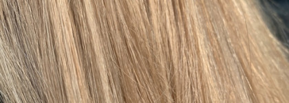 Пустые баночки февраля 2024