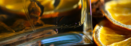 Kenzo Jungle L'Elephant Kenzo: мой медитативный слон