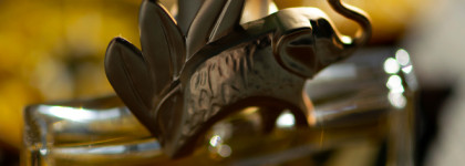 Kenzo Jungle L'Elephant Kenzo: мой медитативный слон