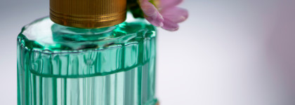 Gucci Memoire d’une Odeur: моя любимая горькая ромашка