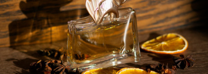 Kenzo Jungle L'Elephant Kenzo: мой медитативный слон