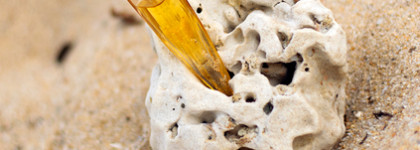 Mugler Alien Goddess: аромат, переносящий меня к морю