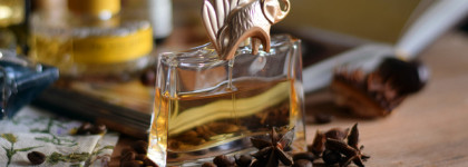 Топ-7 лучших ароматов на зиму: чем надушиться, чтобы поднять себе настроение