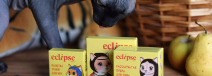 Eclipse beauty: четыре новинки для сияющих образов