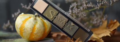 Лучшая палетка, сумевшая меня удивить: StasyAlex Eyeshadow Palette E36 Falcon Look