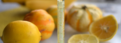 Лучик солнца в ноябре: Estrade Candy Crush Lip Gloss 404