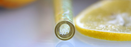 Лучик солнца в ноябре: Estrade Candy Crush Lip Gloss 404