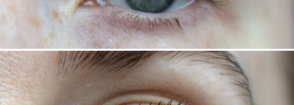 Лучшая коричневая тушь, которая покорила меня далеко не сразу: Shik Aspect eyelash mascara Brown