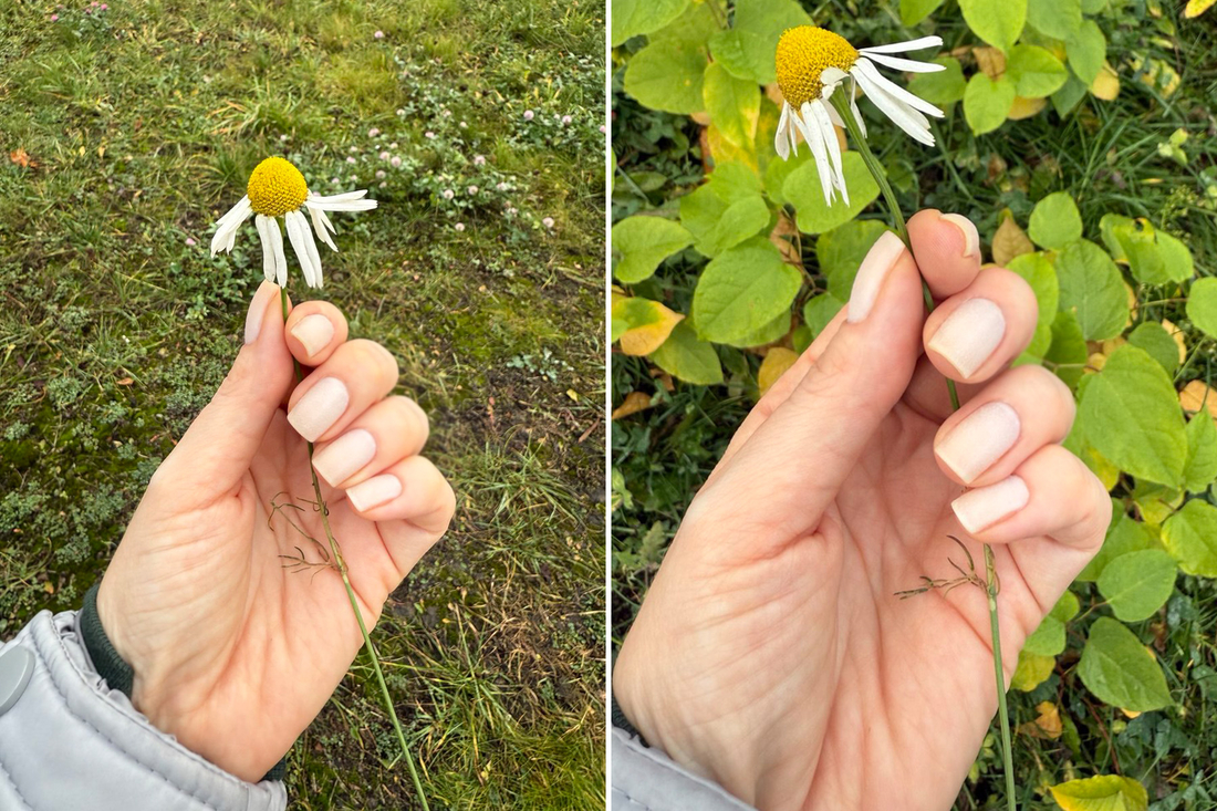 В дневном свете на улице