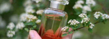 Самый «взрослый» сад Hermès — Un Jardin Sur La Lagune