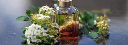 Самый «взрослый» сад Hermès — Un Jardin Sur La Lagune