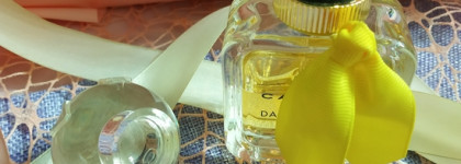 Туалетная вода Carven Dans Ma Bulle De Fleurs EDT - Уют зимнего вечера