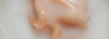 Kapous: краска Professional Hyaluronic и эмульсия Hyaluronic Cremoxon