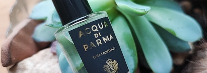 Без риска для талии: мои несладкие ароматы