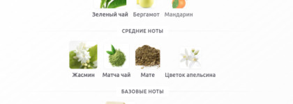 Моё парфюмерное я. Matcha Meditation Replica Maison Margiela