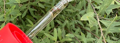 Новинка от Dr.Ceuracle: Azelaic 10 & Madeca Ampoule. Азелаиновая кислота в уходе