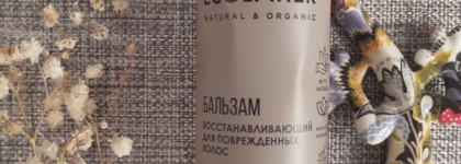 Итоги лета: любимчики, аутсайдеры и продолжающийся шопоголизм