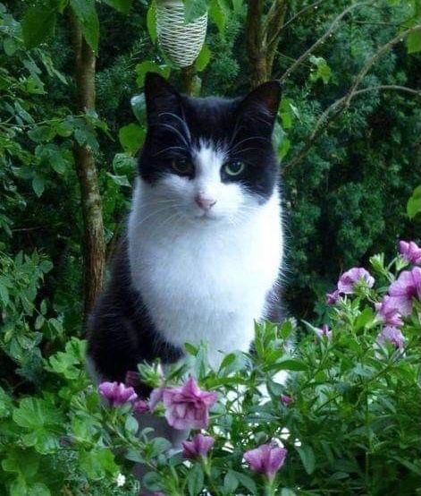 Картинка для ассоциаций