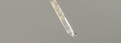 К сожалению, мимо: популярная сыворотка Ma:nyo Bifida Biome Complex Ampoule