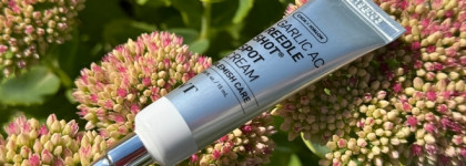 На удивление, работает: спикулы и чеснок против воспалений с VT Cosmetics Garlic AC Reedle Shot Spot Cream