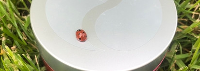 Medi-Peel Peptide 9 Hyaluron Rose Ampoule Eye Patch – эффективные патчи для розового настроения