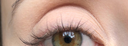 Морозный привет из нулевых с палитрой ноября