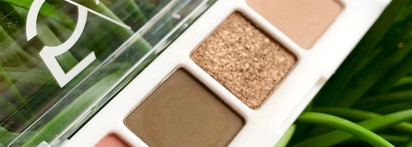 Любопытное цветовое решение в бюджетной палетке Catrice 5 in a box mini 070 Elegant Khaki Look