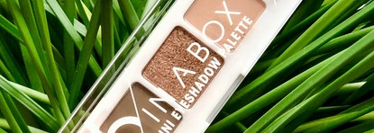 Любопытное цветовое решение в бюджетной палетке Catrice 5 in a box mini 070 Elegant Khaki Look