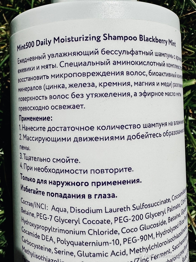 Mint500 Daily Moisturising Shampoo Blackberry