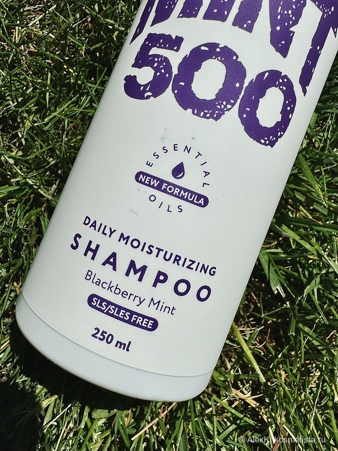 Mint500 Daily Moisturising Shampoo Blackberry