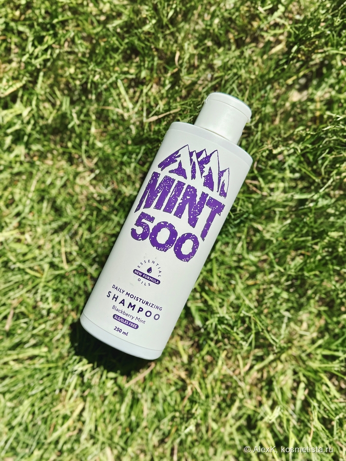 Mint500 Daily Moisturising Shampoo Blackberry