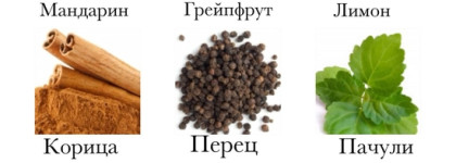 Henderson Ocean Extreme EDP: мало моря, много джунглей