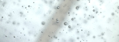 Это база, но какая! Medipeel Peptide 9 Aqua Essence Toner