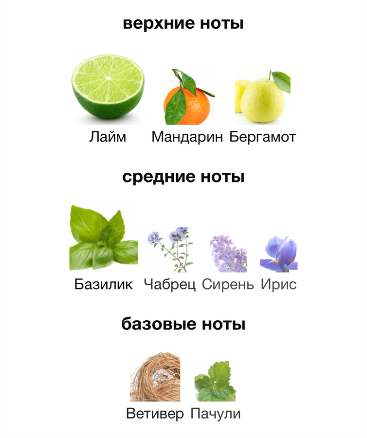 Фото пирамиды Jo Malone Lime Basil & Mandarin с парфюмерного сайта