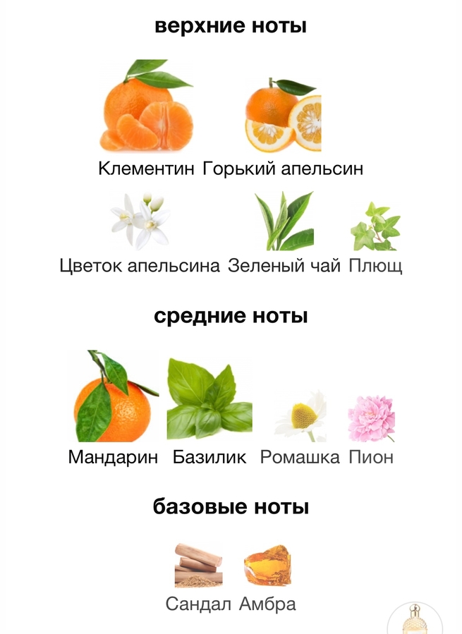 Фото пирамиды Guerlain Aqua Allegoria Mandarine & Basilic с парфюмерного сайта