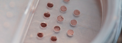 Лучший бронзер для светлокожих льдинок: Миндальный ветер от Тамми Танука