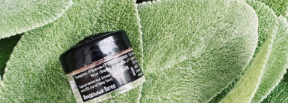 Лучший бронзер для светлокожих льдинок: Миндальный ветер от Тамми Танука