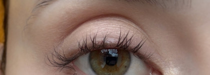 День дуохромов: макияж в цветах Златогривого Царственного Грифона Тамми Танука