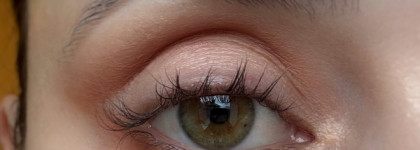 День дуохромов: макияж в цветах Златогривого Царственного Грифона Тамми Танука