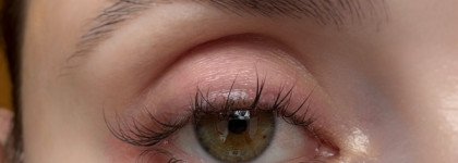 Самый сложный флешмоб - макияж в оттенке Black Oyster